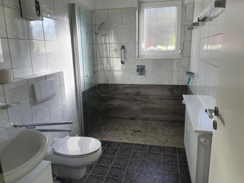 een badkamer met een douche, een toilet en een wastafel bij Ferienwohnung Schlossblick Bad Breisig in Bad Breisig