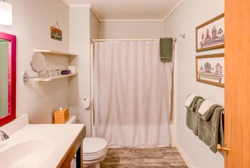 a bathroom with a shower and a toilet and a sink at Timberholm Inn in Stowe