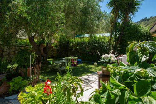 a garden with a lot of plants and a tree at Evridiki's Villas in Agios Nikitas