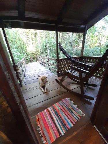 a dog sitting on the porch of a house at Yasí Yateré Reserva Agroecológica in El Soberbio