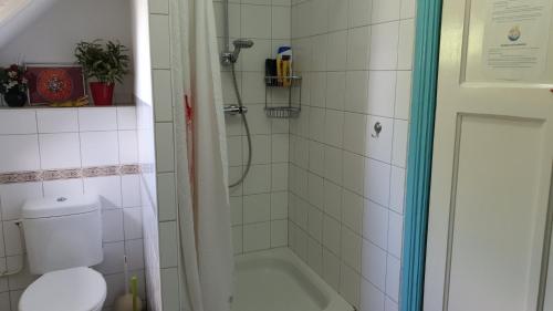 een badkamer met een douche, een toilet en een bad bij Ser's Studio Orange in Maastricht