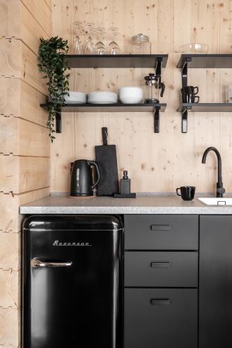 a kitchen with a black refrigerator and a sink at Mleko Domki apartamenty in Białka Tatrzanska