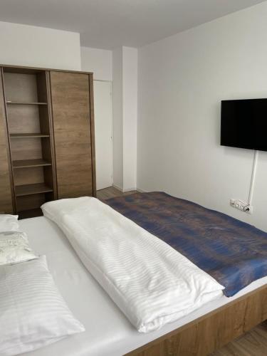 een slaapkamer met een bed en een tv aan de muur bij ConfortMax in Baia Mare