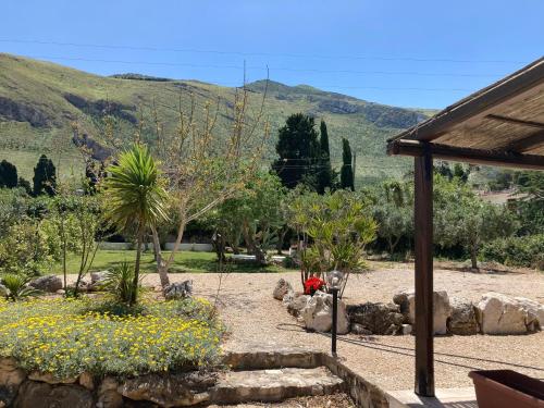 a garden with a bunch of plants and trees at Lovely Cottage in Castellammare del Golfo