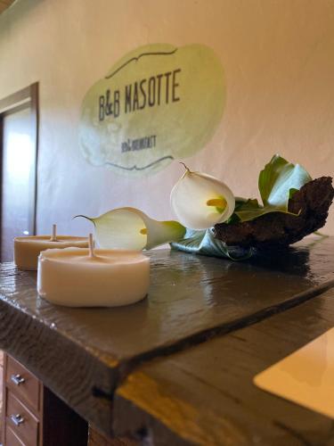 BB Masotte – Photos 2