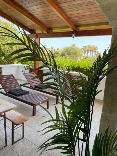 eine Terrasse mit Stühlen, einem Tisch und einer Pflanze in der Unterkunft Eagle's Nest in Polignano a Mare