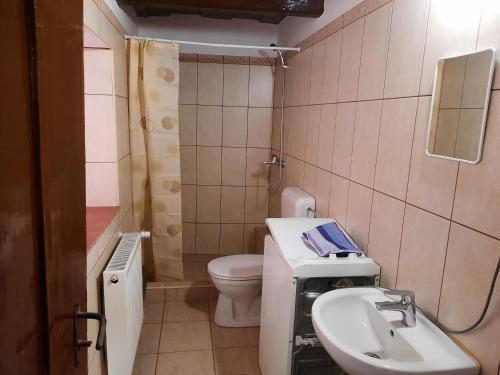 a small bathroom with a toilet and a sink at Letti Vendégház in Kővágóörs