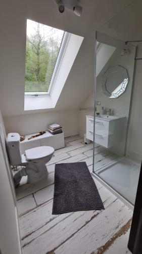 ein Bad mit einem WC, einem Waschbecken und einem Fenster in der Unterkunft Sasinko in Sasino