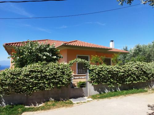 a house with a hedge in front of it at View House in Agria
