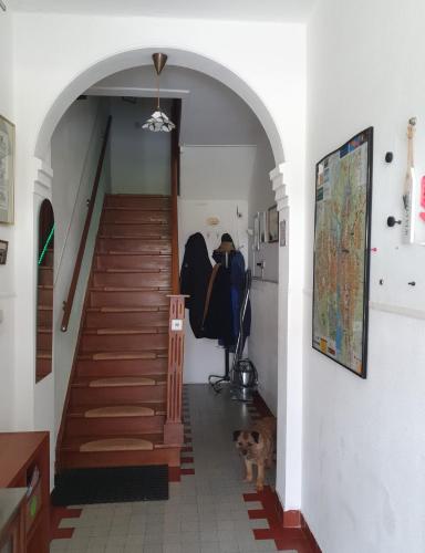 a hallway with a staircase with a dog standing next to it at Ser's Studio Orange in Maastricht