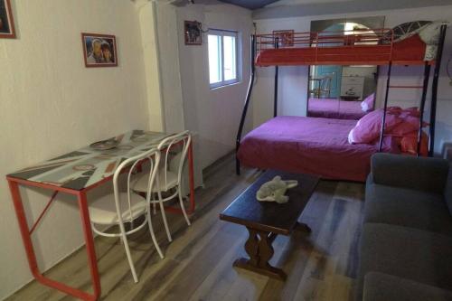 1 dormitorio con litera, mesa y escritorio en Aux P'tits loups de cahors, en Cahors