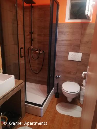 a bathroom with a shower and a toilet at Kvarner Apartments - Mošćenička Draga in Mošćenička Draga