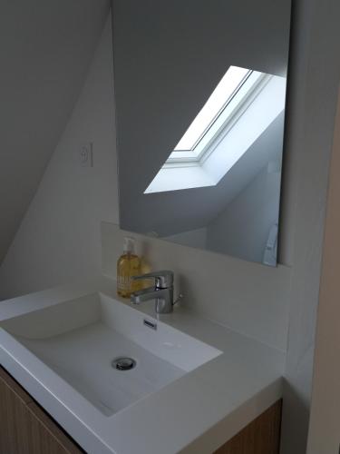 La salle de bains est pourvue d'un lavabo avec miroir et d'une lucarne. dans l'établissement Havre de paix et jardin tropical. Chambre privée, à Le Rheu