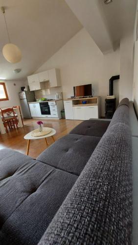Apartment Alex