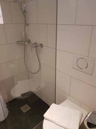 a bathroom with a glass shower with a toilet at Interlaken Apartments in Interlaken