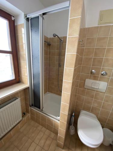 a bathroom with a shower with a toilet and a shower at Ferienwohnung am See in Haidmühle
