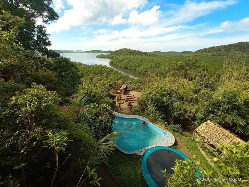 an aerial view of a swimming pool next to a river at Sanctuaria Treehouses Busuanga in Busuanga