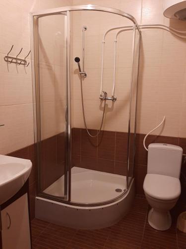 y baño con ducha, aseo y lavamanos. en Прайд Кривой Рог, en Krivoy Rog