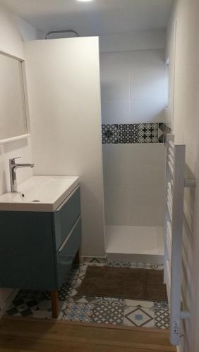 une petite salle de bain avec un lavabo et une douche dans l'établissement La maison des amis, à Lussan