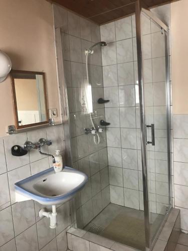 a bathroom with a shower and a sink at Pokoje gościnne u Danuty in Mizerna