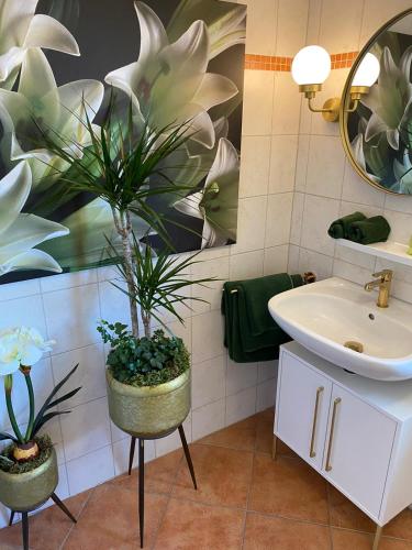 a bathroom with a sink and a plant in a pot at Ferienwohnungen Park Café am Kurpark in Bernkastel-Kues