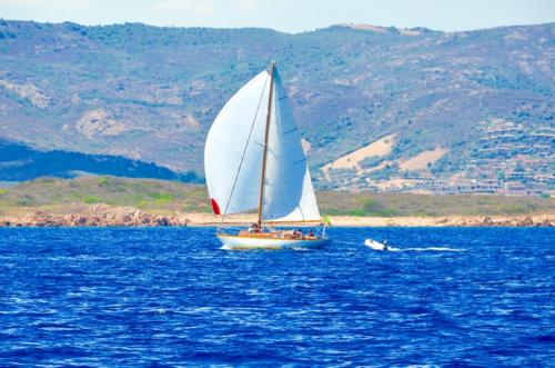 a boat with a white sail in the water at casavacanza golfo aranci in Golfo Aranci