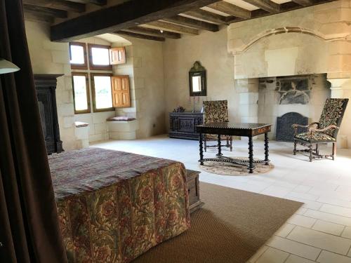 a bedroom with a bed and a table and a fireplace at Manoir de Chandoiseau in Les-Trois-Moutiers