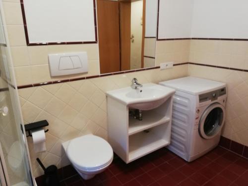 a bathroom with a sink and a washing machine at Haus Möltner - Apartment Aviam in Caldaro