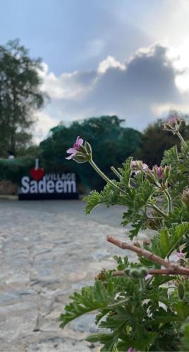 a flower on a plant with a sign in the background at Sadeem Village & Chalet in Ash Shafa