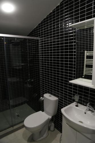 a bathroom with a toilet and a shower and a sink at Hotel 12 Tve in Mtskheta
