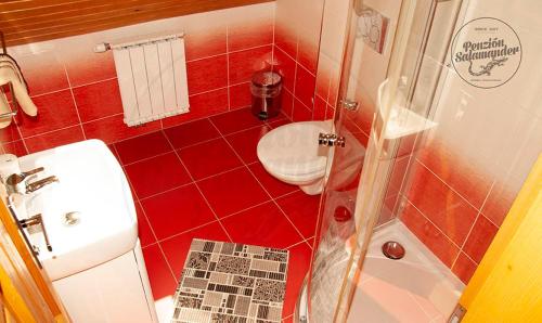 a red tiled bathroom with a toilet and a sink at Penzion Salamander in Terchová