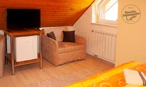 a living room with a couch and a television at Penzion Salamander in Terchová