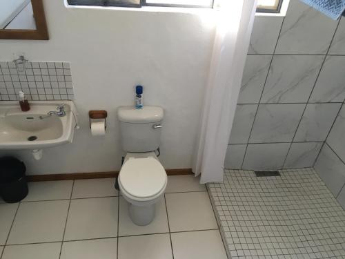 a bathroom with a toilet and a sink at Roode Bloem Farm House in Graaff-Reinet