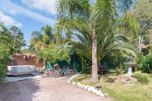 a group of bikes parked under a palm tree at Las Coloniales in Sauce de Portezuelo