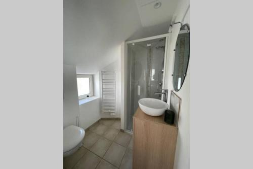 Vonios kambarys apgyvendinimo įstaigoje Centre-ville : Maison de charme - Secteur calme