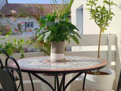 a table with a potted plant on a balcony at Oria studio's in Eilat