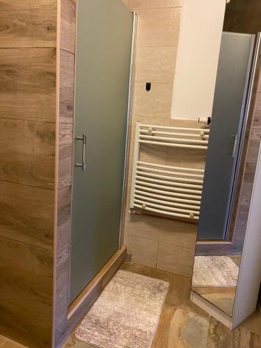 ein Bad mit einer Dusche, einer Tür und einem Spiegel in der Unterkunft Virág Vendégház in Poroszló