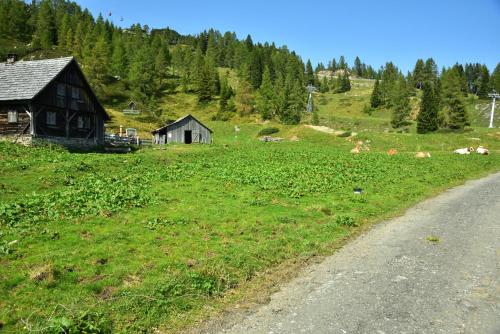 a barn in a field next to a road at Apartment Sonnleitn/Nassfeld in Sonnenalpe Nassfeld