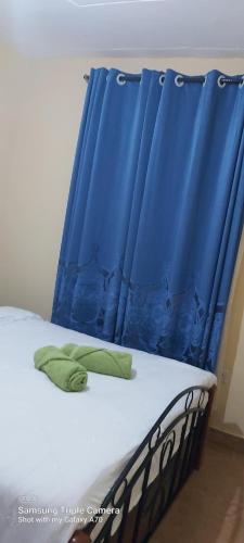 a bed with a blue curtain in a room at Annettes Place in Naivasha
