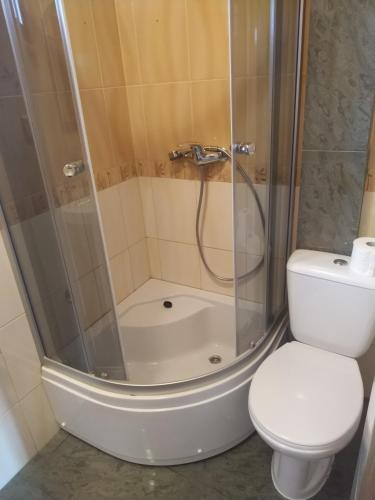 a bathroom with a shower and a toilet at Domek letniskowy in Władysławowo