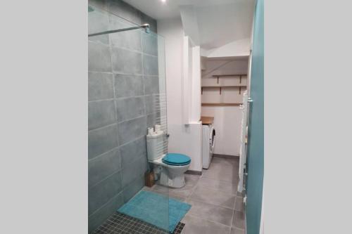 W łazience znajduje się niebieska toaleta i prysznic. w obiekcie Nid douillet, 5 min à pied du château d'Amboise w mieście Amboise