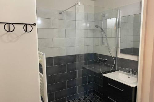 La salle de bains est pourvue d'une douche et d'un lavabo. dans l'établissement Jeremy T2 idéalement situéThonon centre avec terrasse et garage, à Thonon-les-Bains