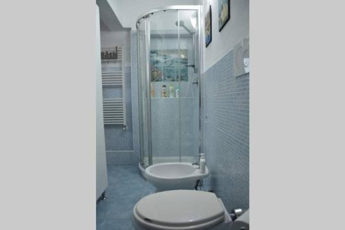 a bathroom with a toilet and a shower at La Cuppulata - Stile Classico in Enas