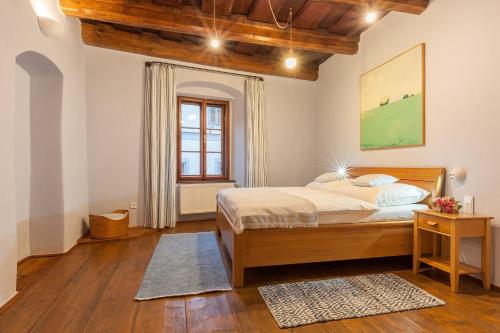 1 dormitorio con cama y ventana en Babyka Apartments en Český Krumlov