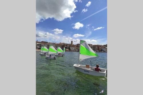 a group of boats with green sails in the water at Superbe appartement avec Terrasse et Vue in Bouzigues