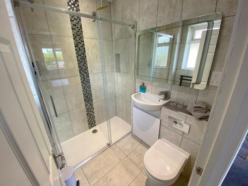 a bathroom with a shower and a toilet and a sink at Orchard House in Swindon