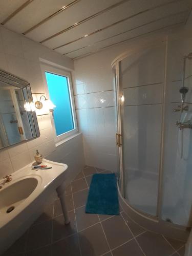 a bathroom with a sink and a shower at Appartment Andrea in Eugendorf