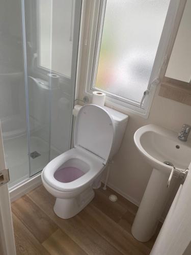 a bathroom with a toilet and a sink and a shower at cabin zest in Sandown