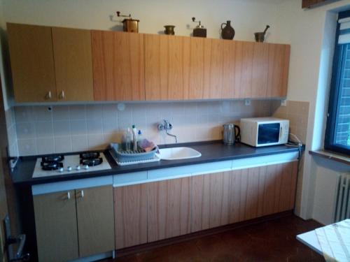 eine Küche mit Holzschränken, einer Spüle und einer Mikrowelle in der Unterkunft Apartmán 6 km od centra Banskej Bystrice in Banská Bystrica