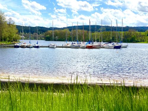 a bunch of boats are docked in a harbor at Penzion Sen in Černá v Pošumaví